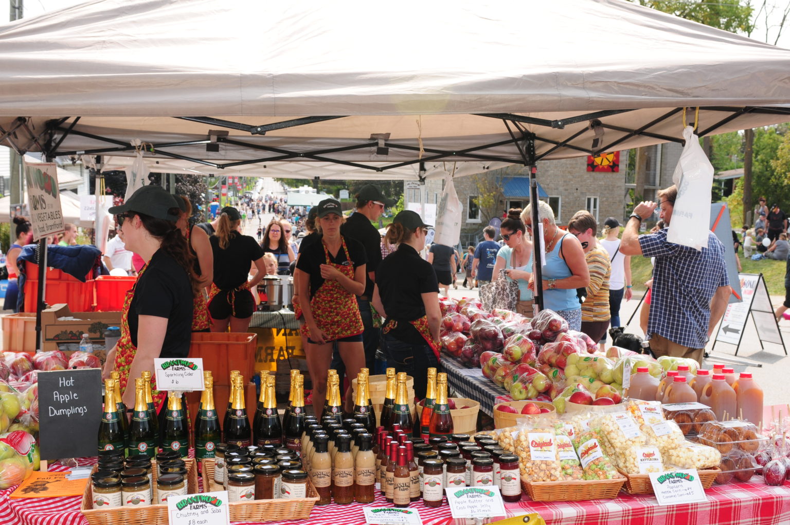 Take a bite out of the 38th annual St. AppleFest BrantBeacon