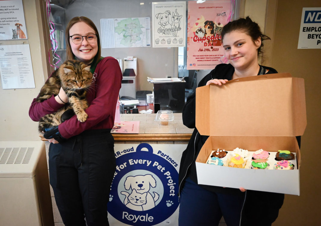 Cupcake Day fundraiser a major success BrantBeacon