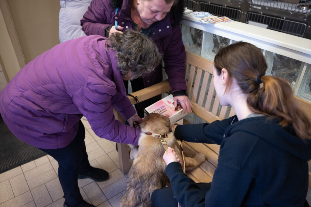 Animal lovers rise to the occasion for SPCA Cupcake Day Party BrantBeacon